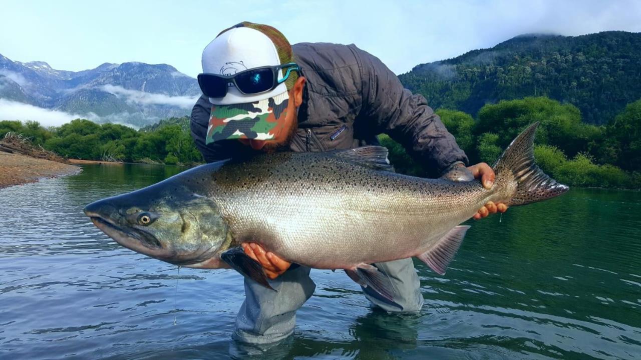 Cabanas Nutrias Patagonicas Puelo River 外观 照片
